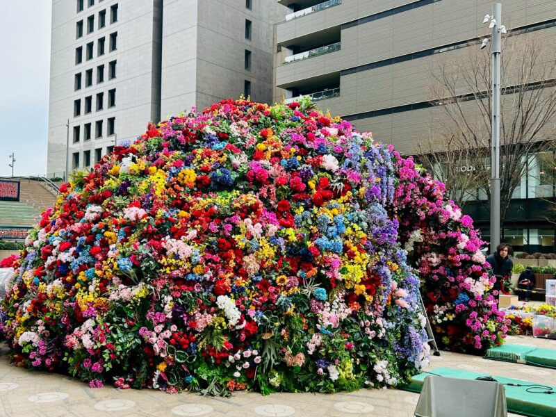 ウィキッドのディスプレイ